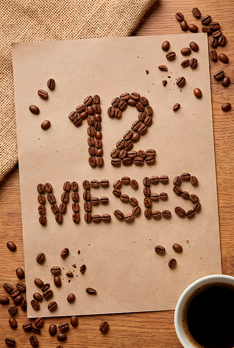12 Meses